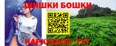 соль ск Обь